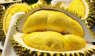 原装进口金枕榴莲