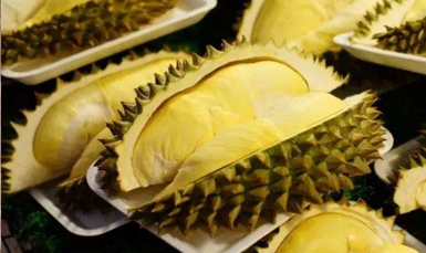 进口泰国金枕头榴莲