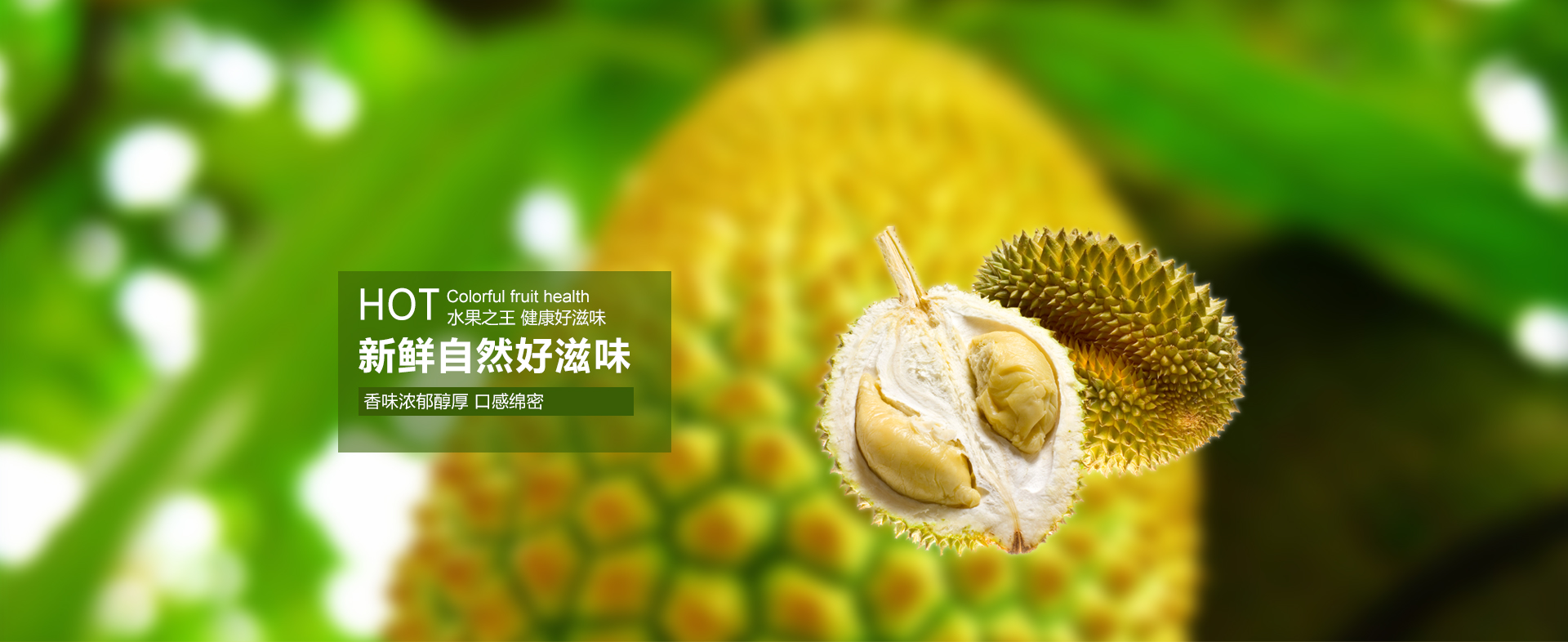 进口榴莲招商