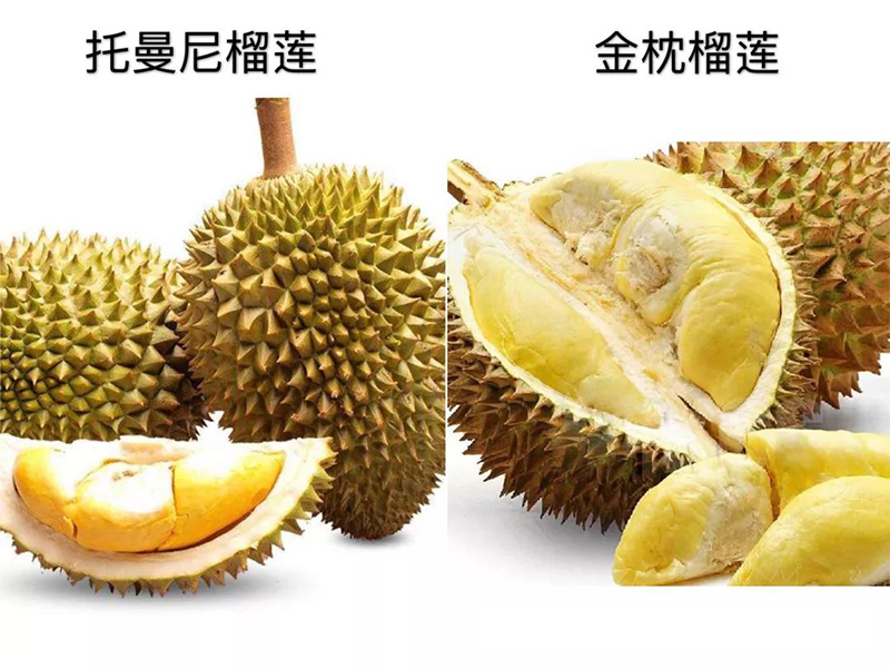 微信图片_20191120100009.jpg